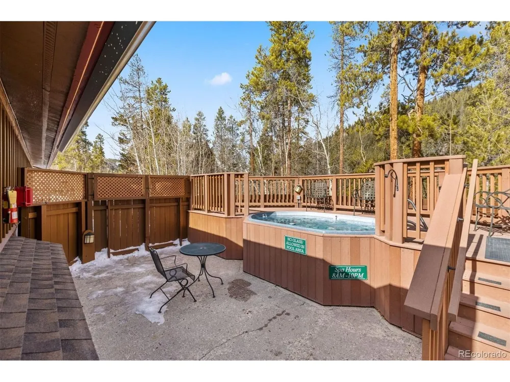 45 Trappers Crossing Trail #8754 Dillon, CO 80435