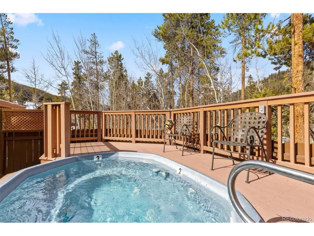 45 Trappers Crossing Trail #8754 Dillon, CO 80435