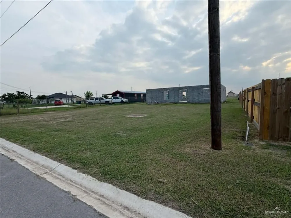 9901 Susie Drive Donna, TX 78537