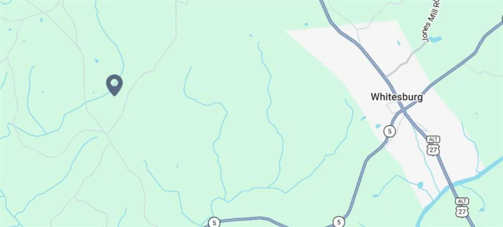 0 S Little New York Trail Whitesburg, GA 30185