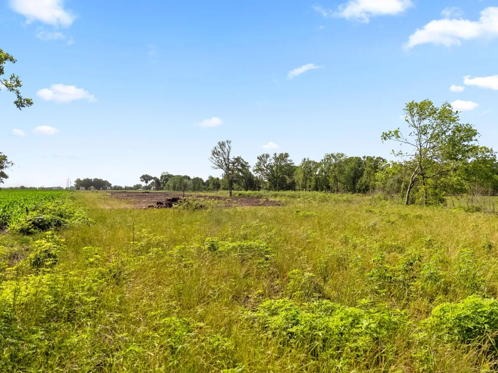 Modena School Road Rosenberg, TX 77471