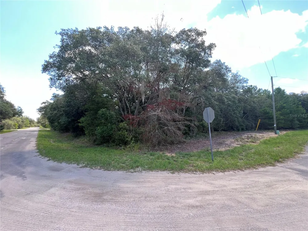 LOT 36 BLK1140 FISHER WAY TRAIL Ocklawaha, FL 32179