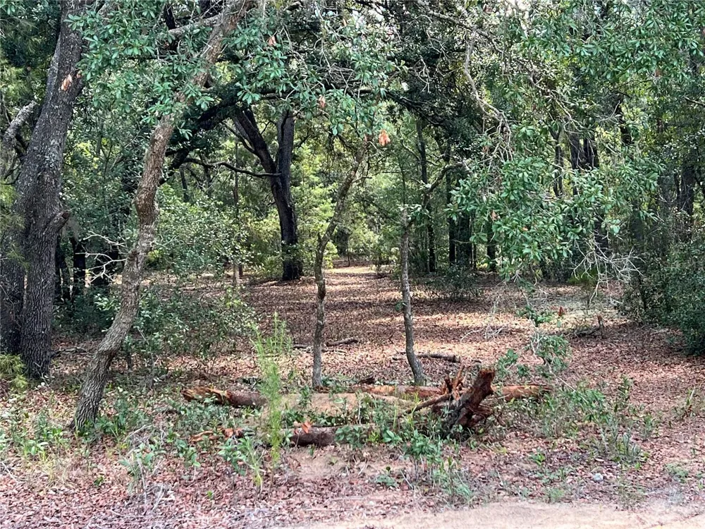 LOT 36 BLK1140 FISHER WAY TRAIL Ocklawaha, FL 32179