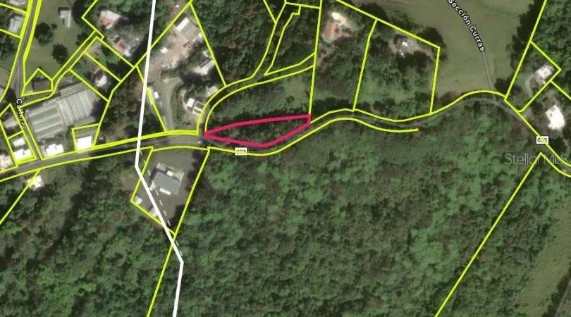 Address Not Shown Morovis, PR 00687