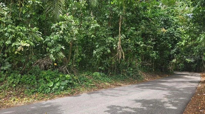 Address Not Shown Morovis, PR 00687