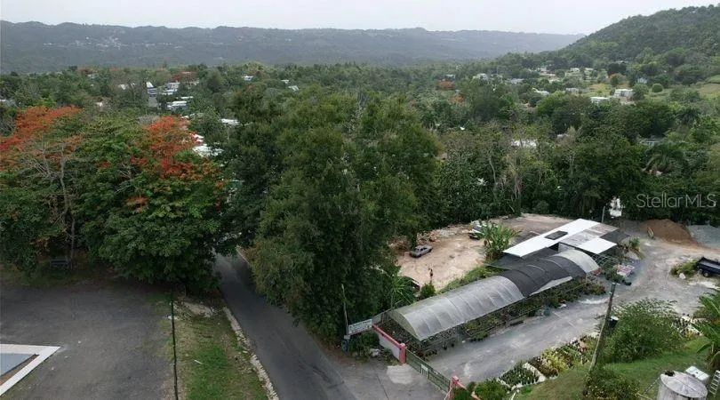 Address Not Shown Morovis, PR 00687
