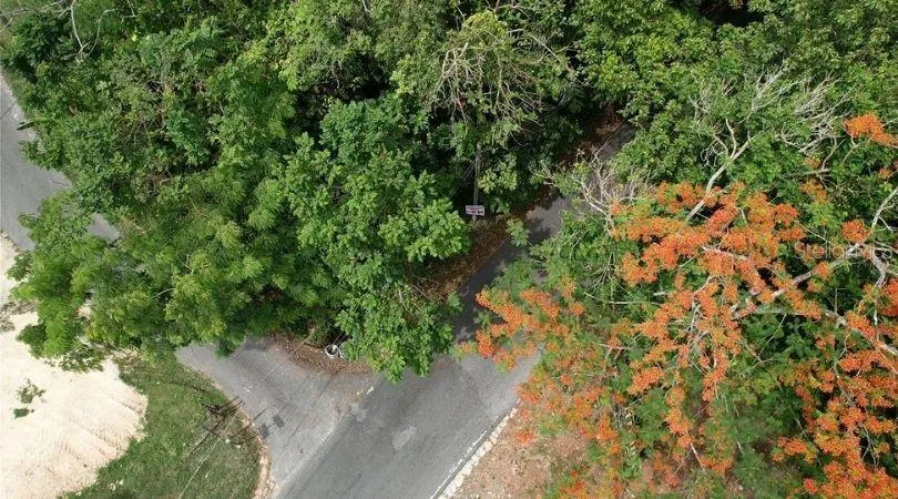 Address Not Shown Morovis, PR 00687