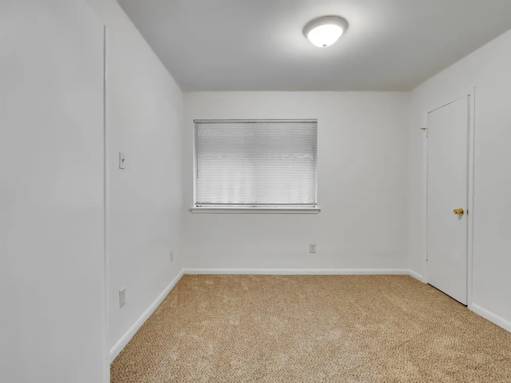 16811 Stardale Lane Friendswood, TX 77546