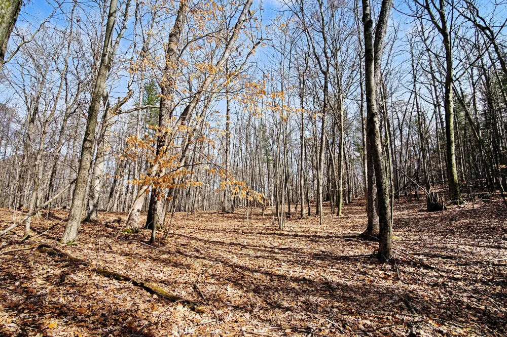 9370 S Hannah Lane Brooks Township, MI 49327