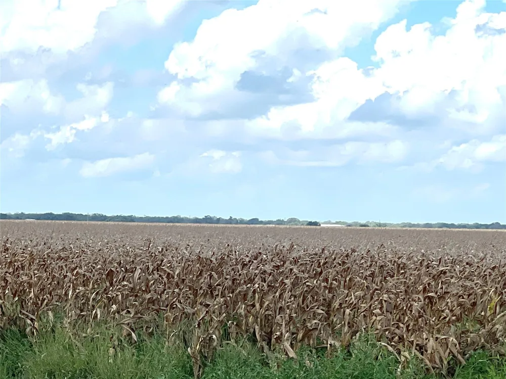 Fm 458 Midfield, TX 77458