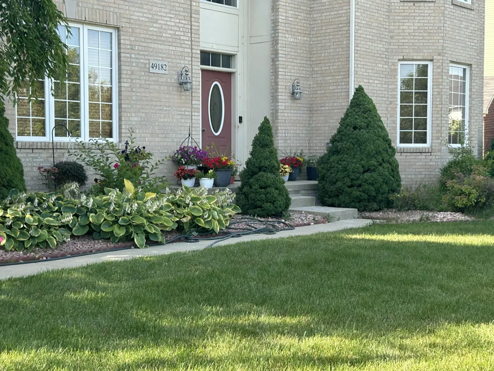 49182 Woodson Way Canton, MI 48187