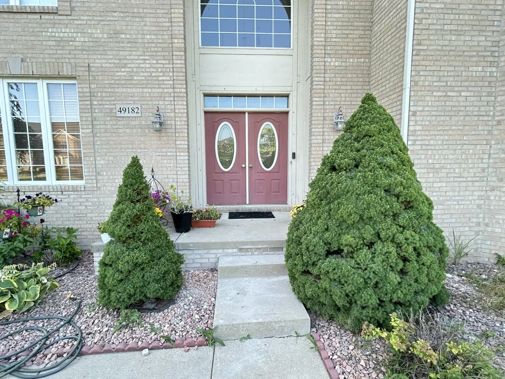 49182 Woodson Way Canton, MI 48187