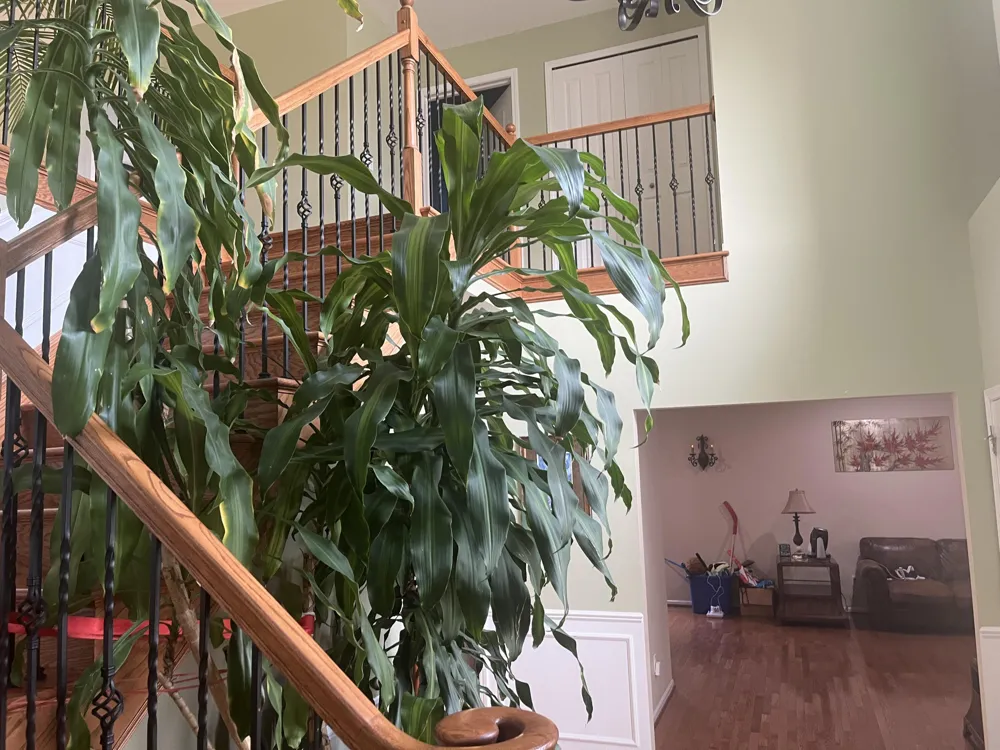 49182 Woodson Way Canton, MI 48187