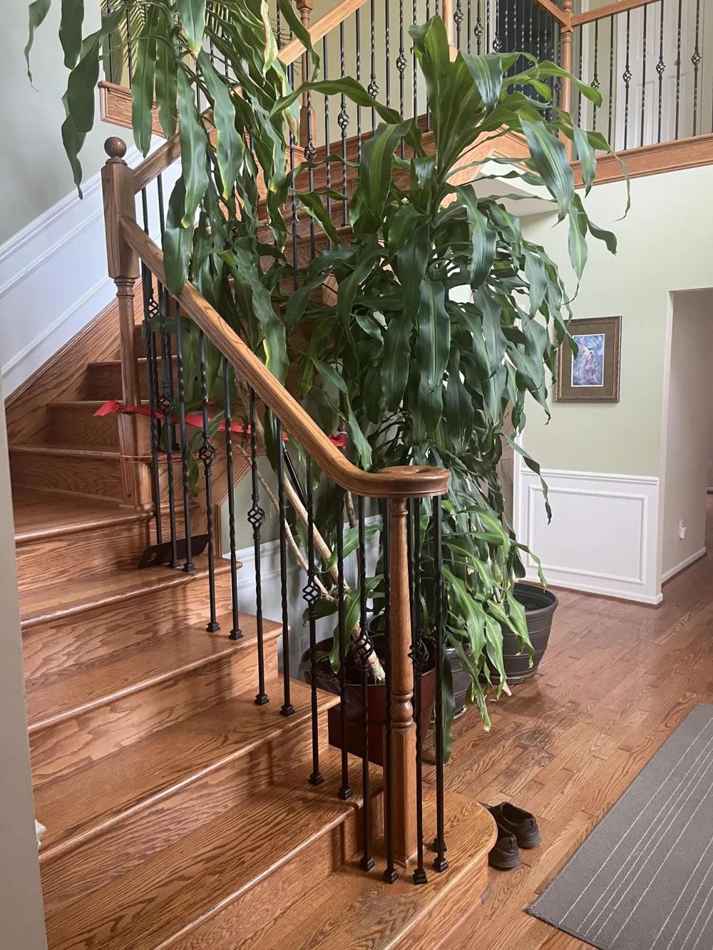 49182 Woodson Way Canton, MI 48187