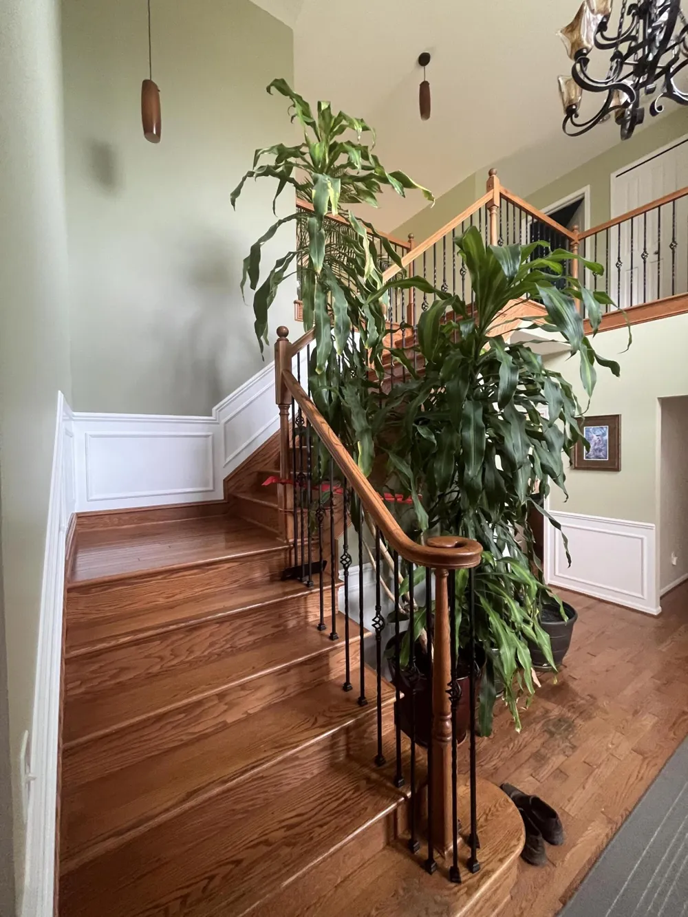 49182 Woodson Way Canton, MI 48187