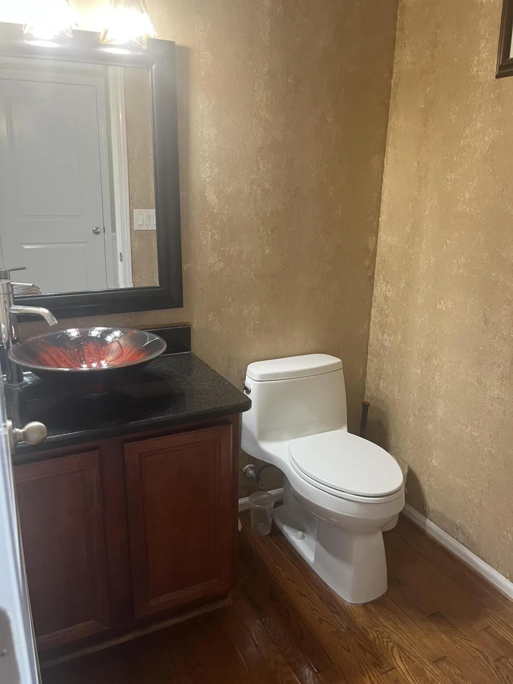 49182 Woodson Way Canton, MI 48187