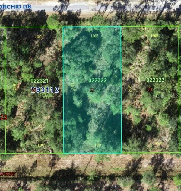 905 ORCHID DR Indian Lake Estates, FL 33855