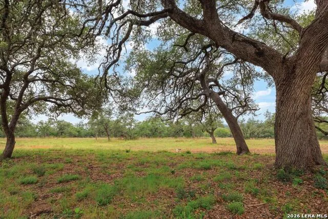105 Colette Ln Blanco, TX 78606