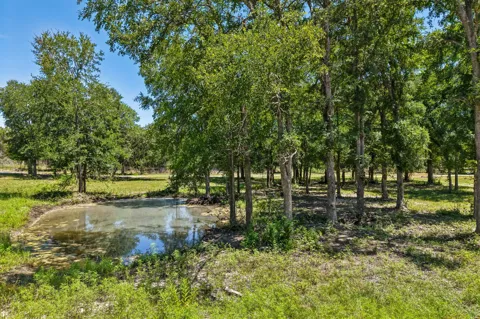 9240 County Road 272