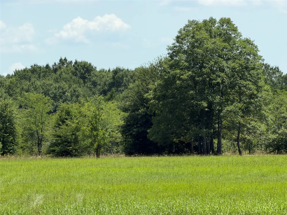 871 VZ County Road 2602 Wills Point, TX 75169