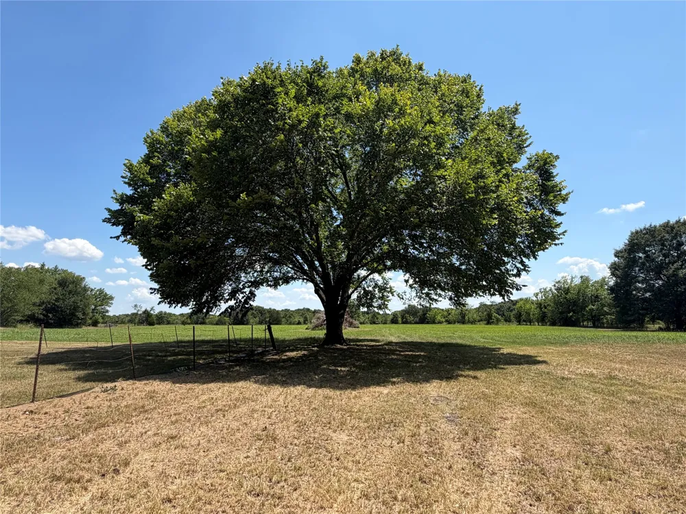 871 VZ County Road 2602 Wills Point, TX 75169