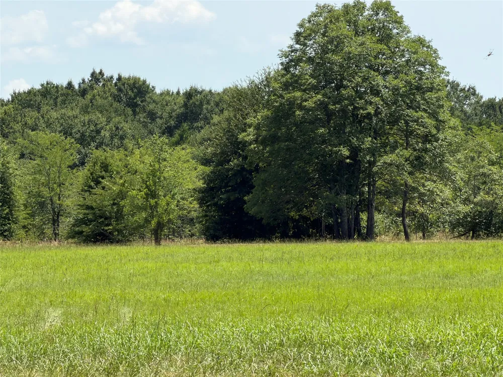 871 VZ County Road 2602 Wills Point, TX 75169