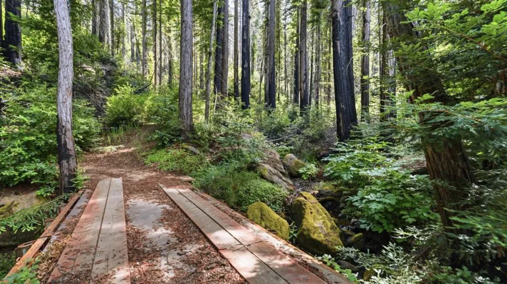 16595 Jamison Creek Road Boulder Creek, CA 95006