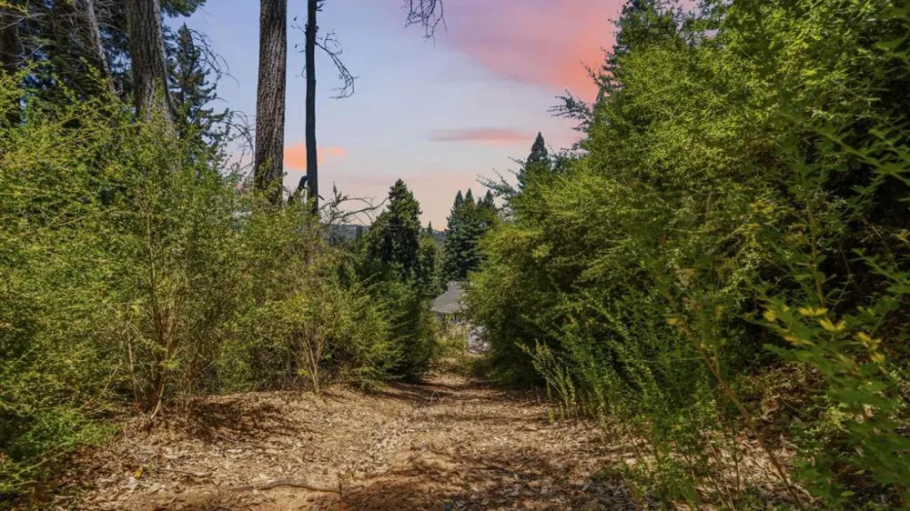 16595 Jamison Creek Road Boulder Creek, CA 95006