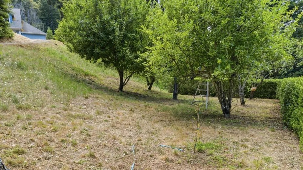 16595 Jamison Creek Road Boulder Creek, CA 95006