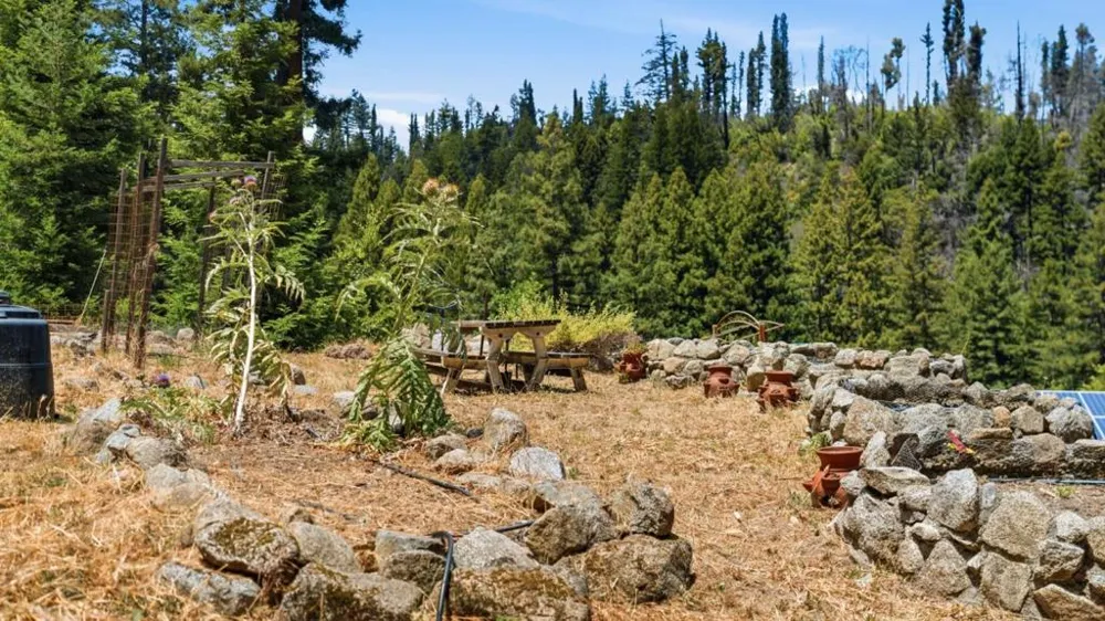 16595 Jamison Creek Road Boulder Creek, CA 95006