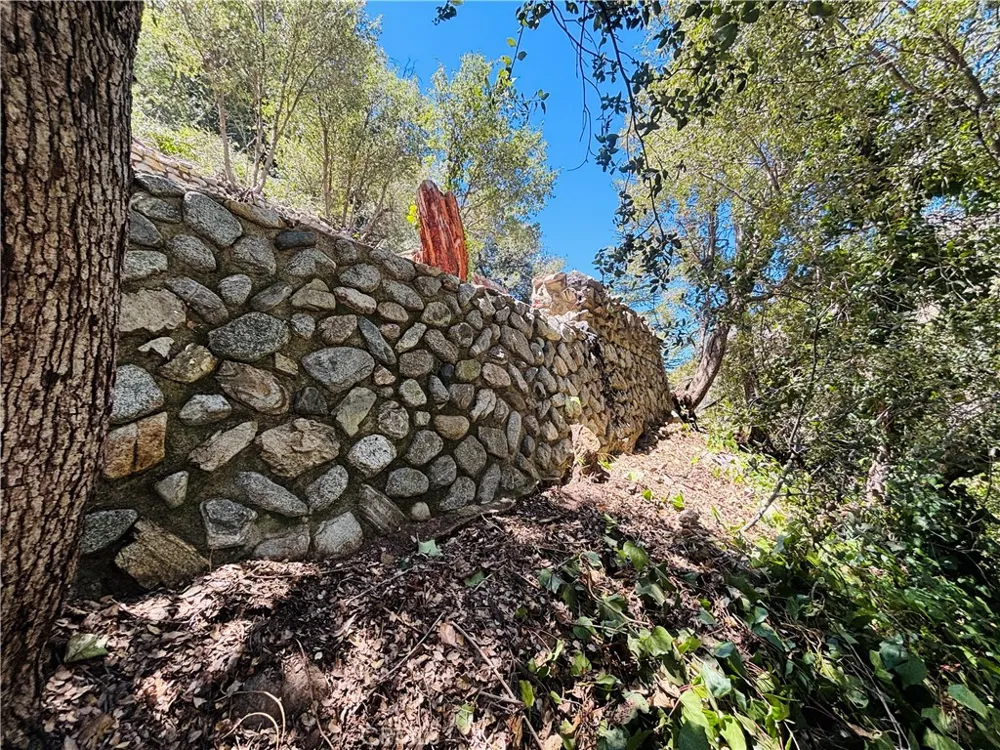 955 San Antonio Creek Mt Baldy, CA 91759
