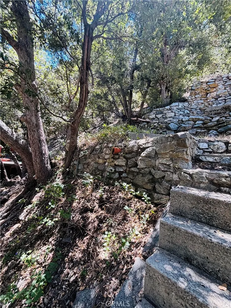 955 San Antonio Creek Mt Baldy, CA 91759