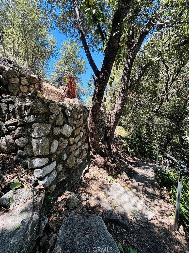 955 San Antonio Creek Mt Baldy, CA 91759