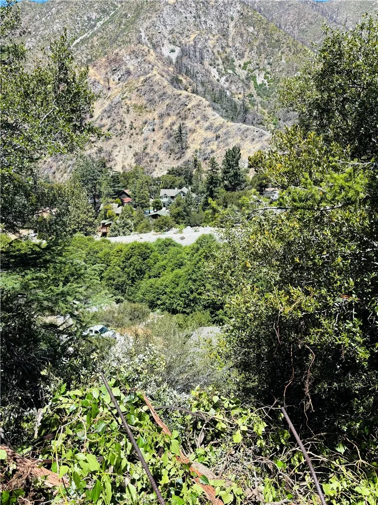 955 San Antonio Creek Mt Baldy, CA 91759