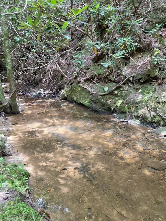 00 Julian Fish Way Mount Airy, NC 27030