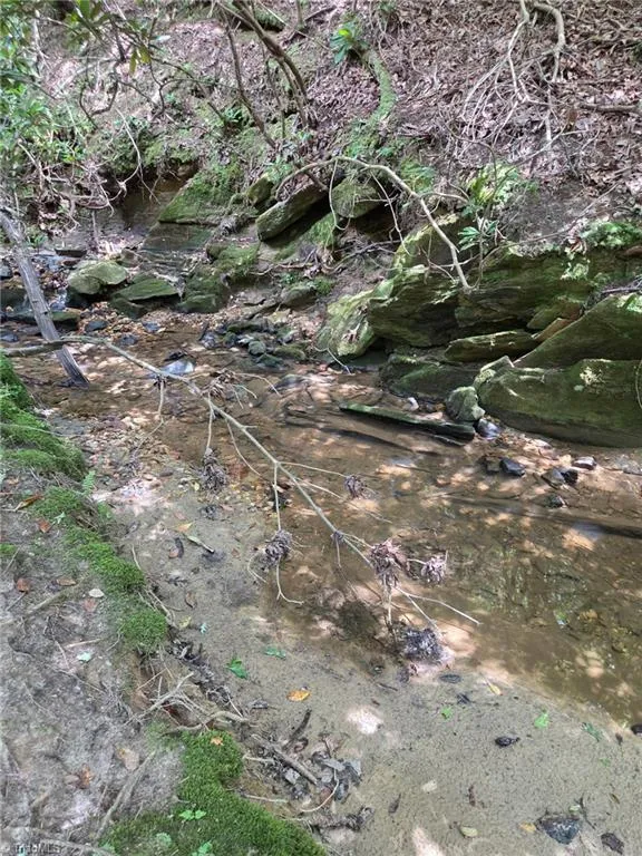 00 Julian Fish Way Mount Airy, NC 27030