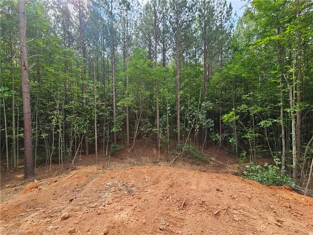 00 Julian Fish Way Mount Airy, NC 27030