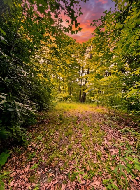Turkey Ridge Road