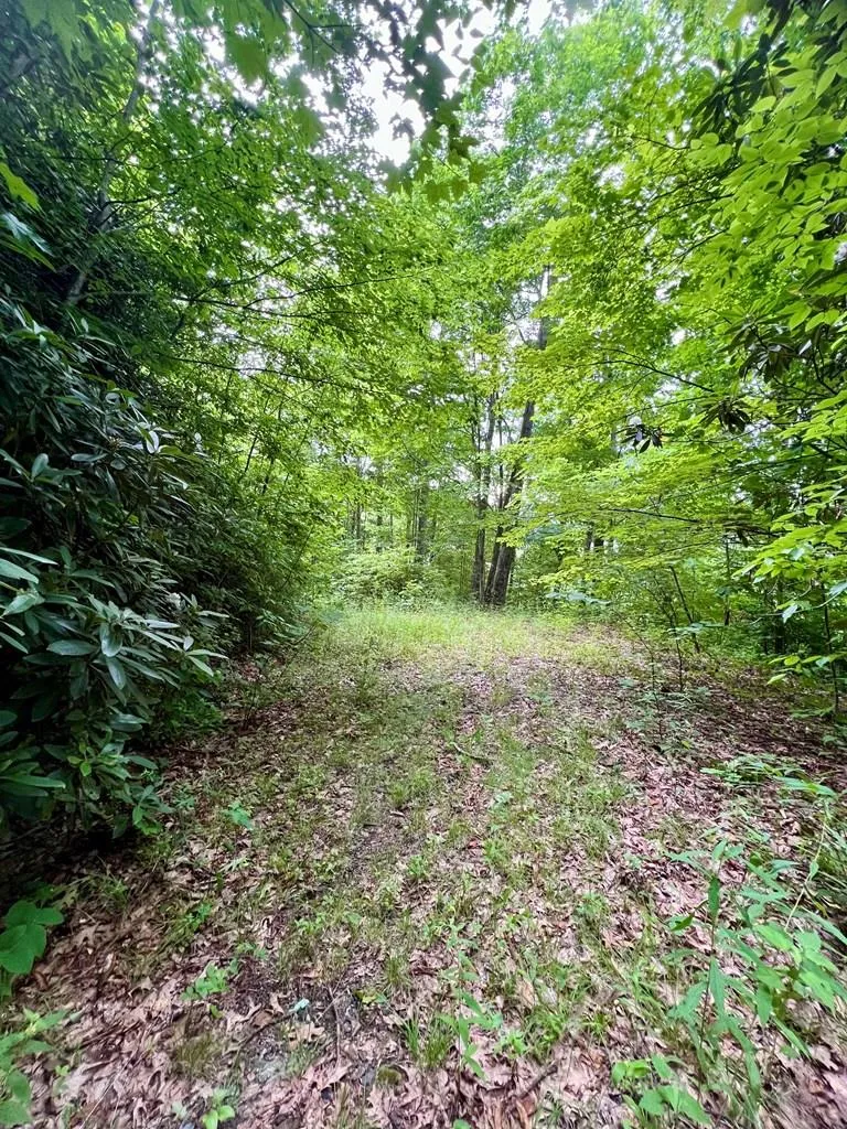 Turkey Ridge Road Bryson City, NC 28713