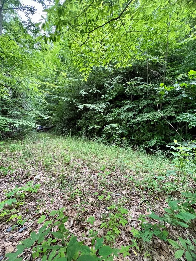 Turkey Ridge Road Bryson City, NC 28713