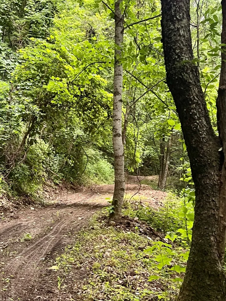 Turkey Ridge Road Bryson City, NC 28713
