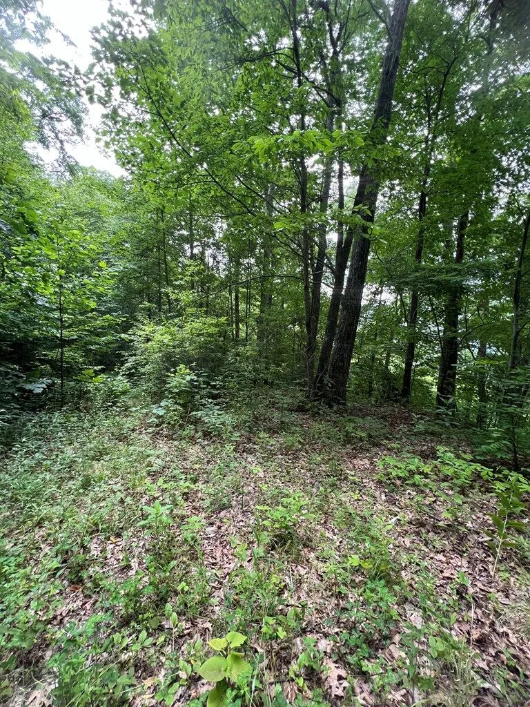Turkey Ridge Road Bryson City, NC 28713