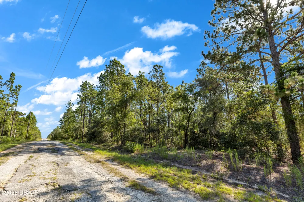 SE 130th Court Dunnellon, FL 34431