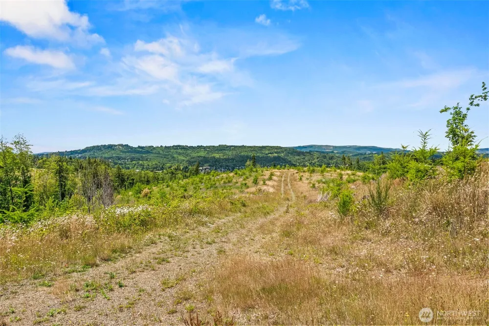0 Lot B Holcomb Road Kelso, WA 98626