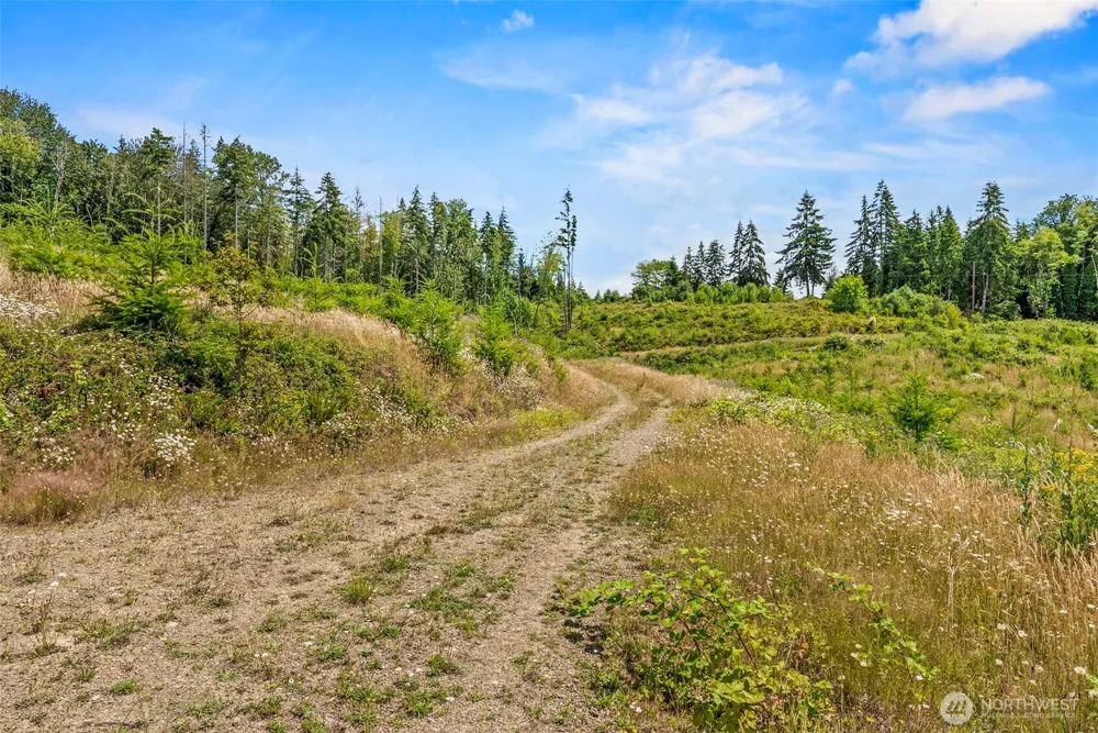 0 Lot B Holcomb Road Kelso, WA 98626