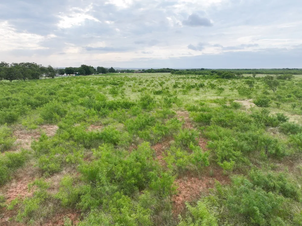 115 Badger Den Tuscola, TX 79562