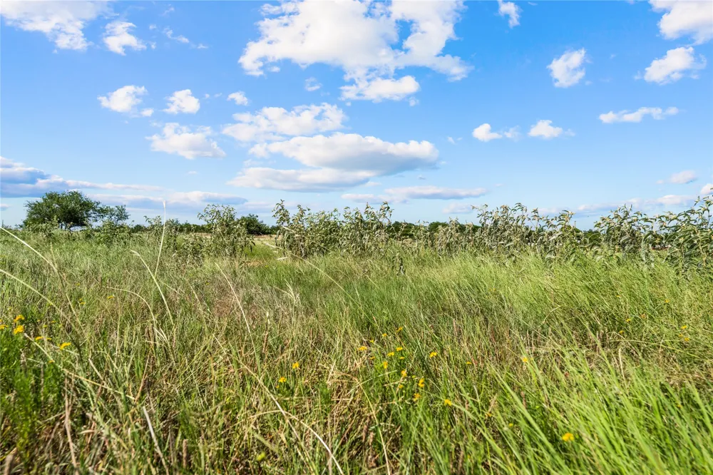 Lakewood Drive Whitney, TX 76692