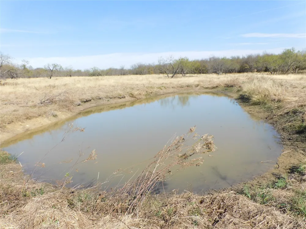 233 Hcr 3315 Hubbard, TX 76648
