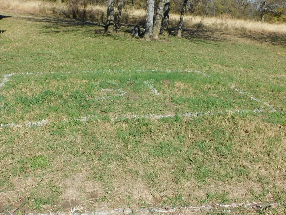 233 Hcr 3315 Hubbard, TX 76648