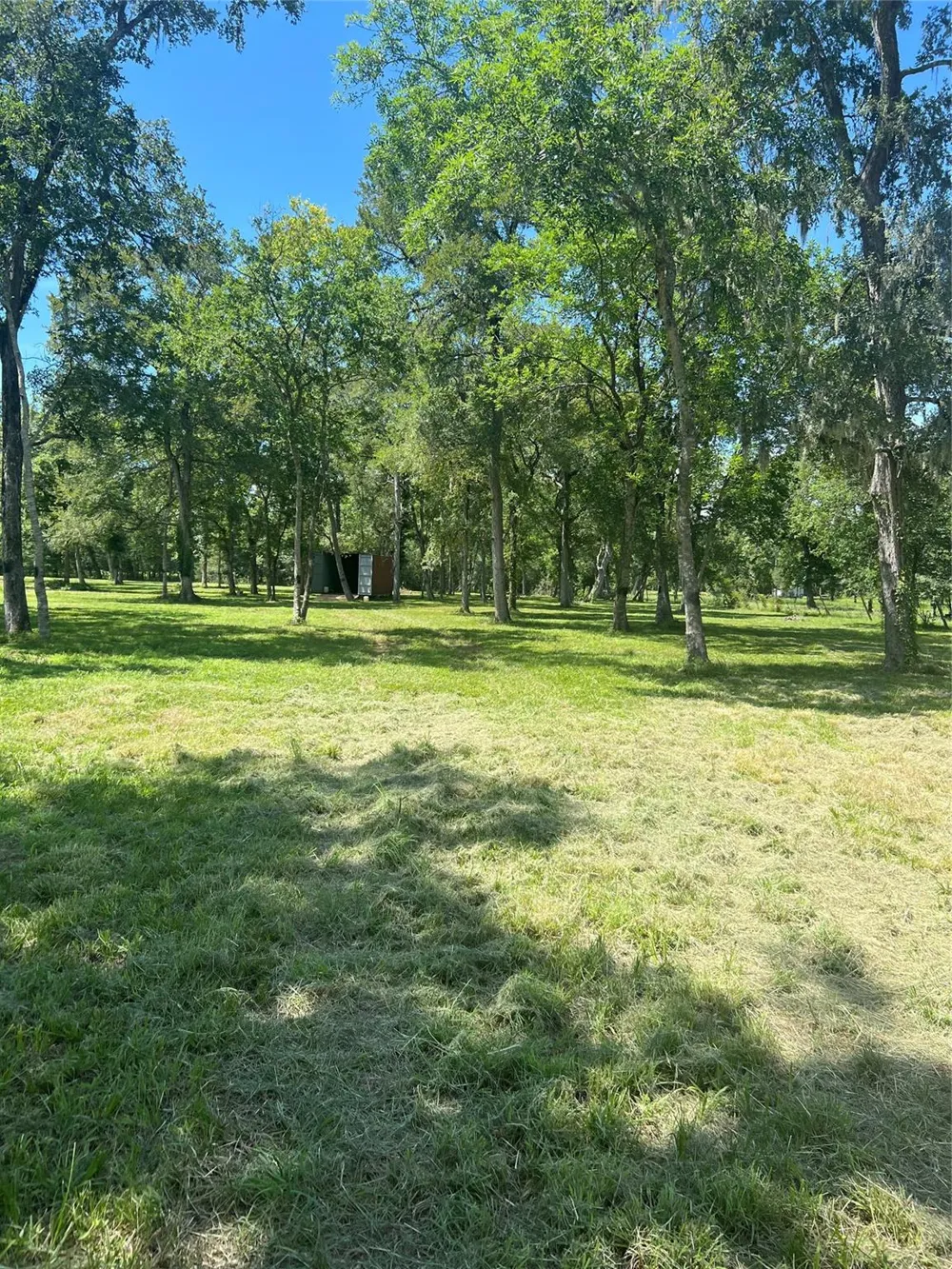 15425 Tierra Grande Drive Needville, TX 77461